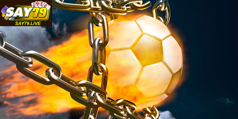 Cá độ bóng đá an toàn dựa trên lựa chọn minh bạch