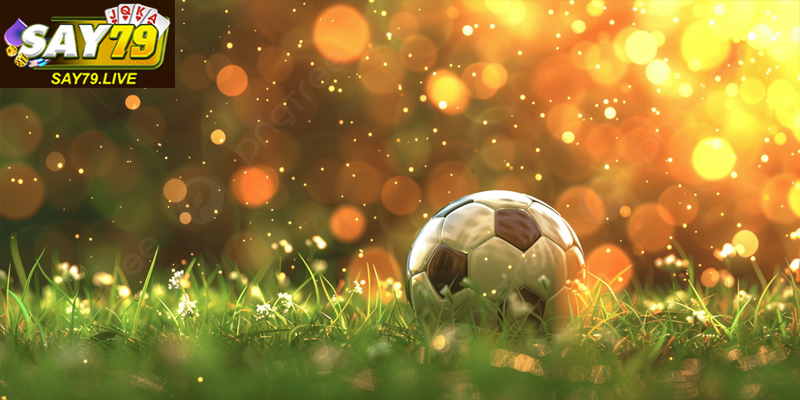 Dịch vụ hỗ trợ chuyên nghiệp, giao dịch nhanh chóng bảo mật