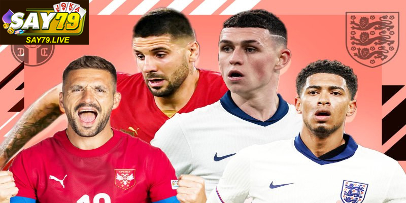 Top nhà cái uy tín mang đến trải nghiệm cá cược an toàn