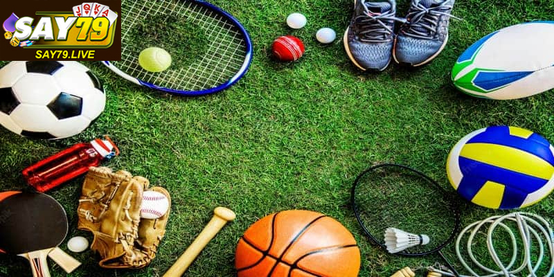 Trang bóng đá uy tín cập nhật tin tức và tỷ số nhanh